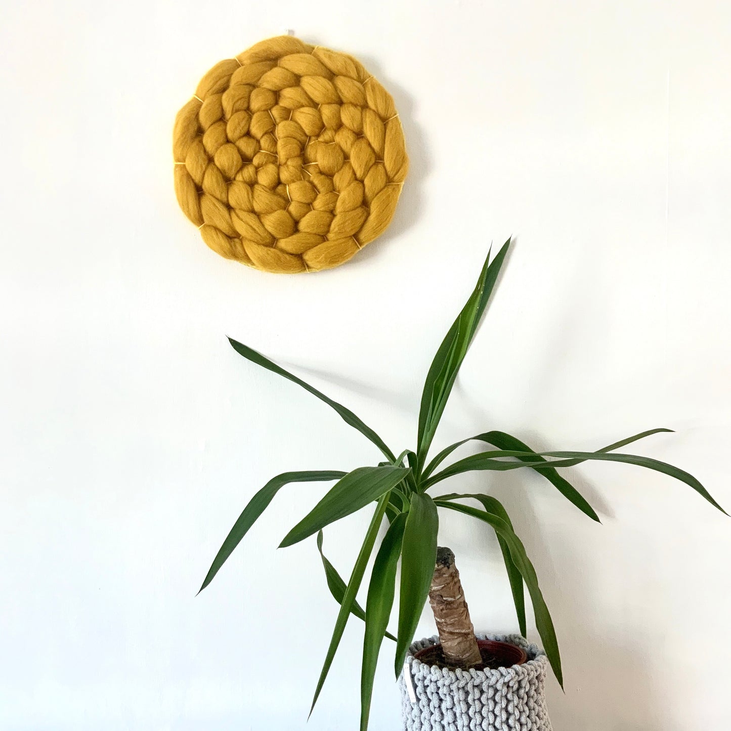 Mustard circular weaving